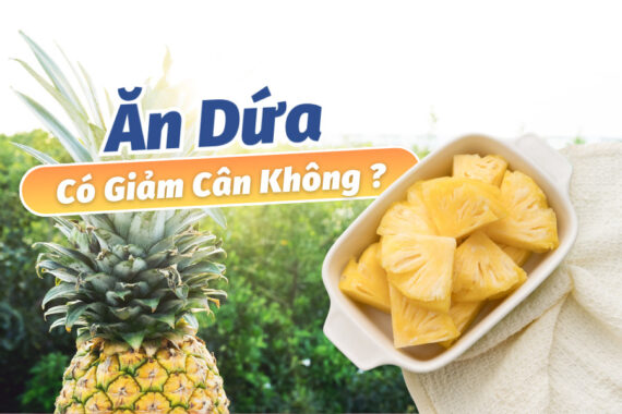 Ăn Dứa Có Giảm Cân Không? Có Nên Hay Không?