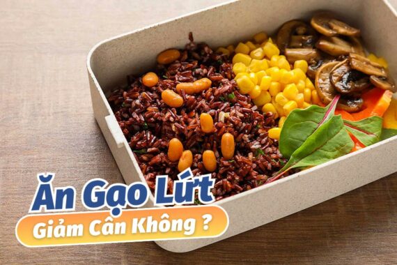 [Thực Phẩm Vàng] Ăn Gạo Lức Giảm Cân Không?